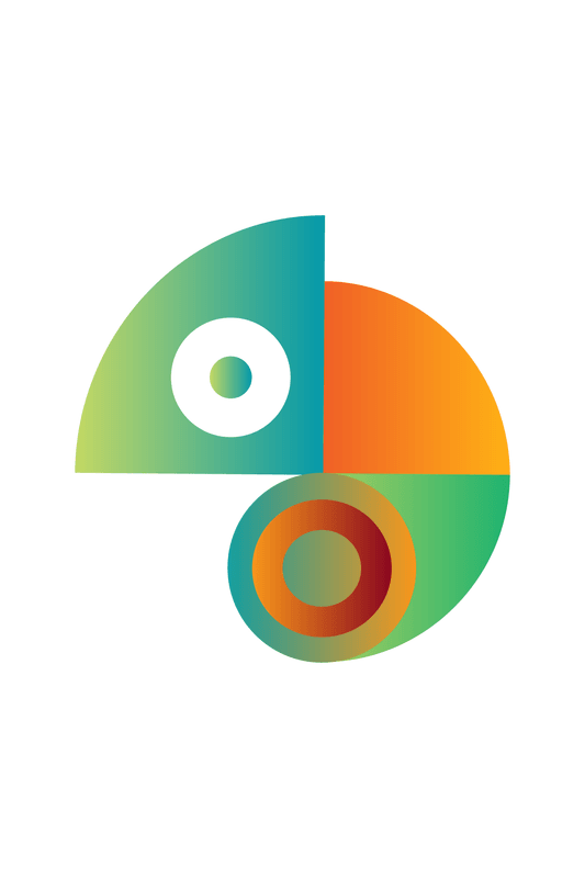 Modern geometric chameleon logo design with vibrant gradient colors